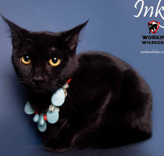 Photo of INKY