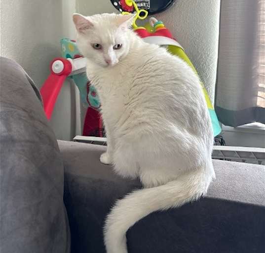 Photo of Leo