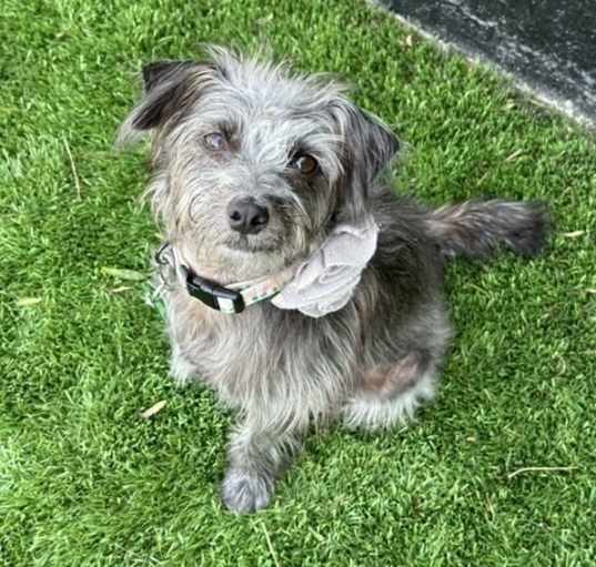 Photo of Matilda