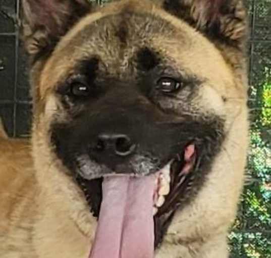 Photo of Lexi (Star)