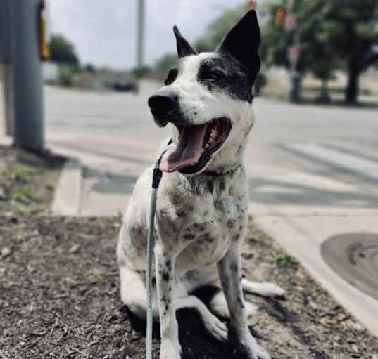 Photo of Tilly Mae