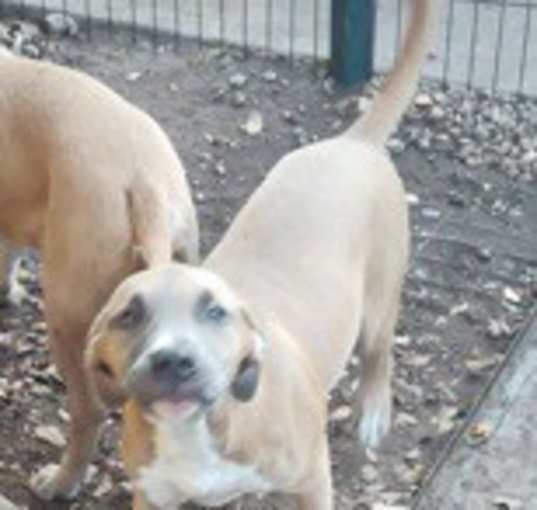 Photo of Tess