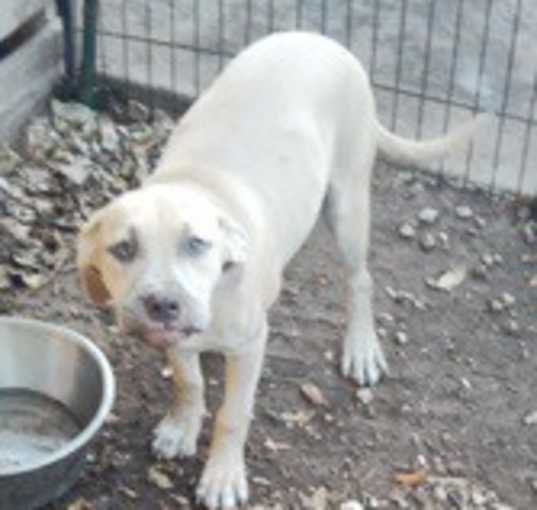 Photo of Elsa
