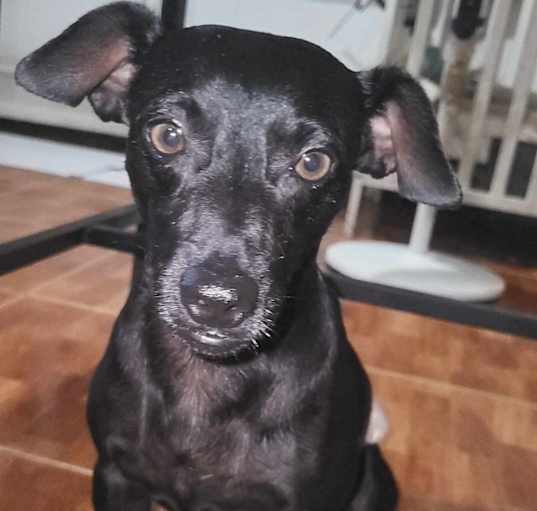Photo of Eddie