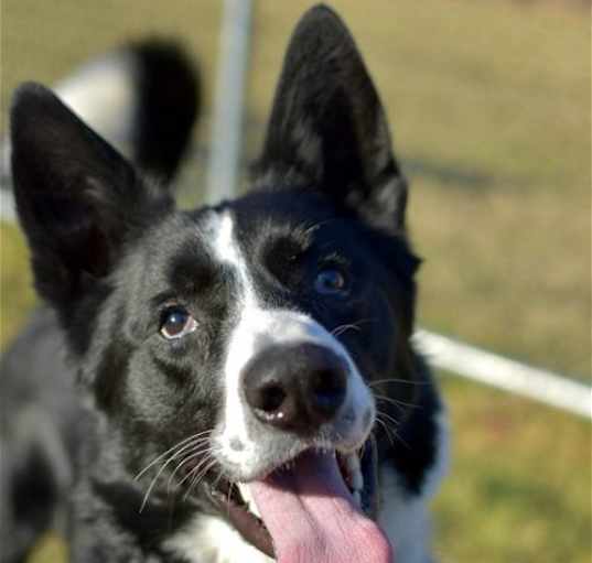Photo of Max