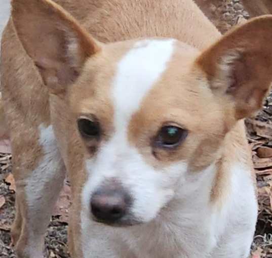 Photo of Mack