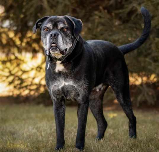 Photo of Zeus