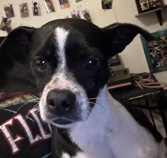 Photo of Dottie