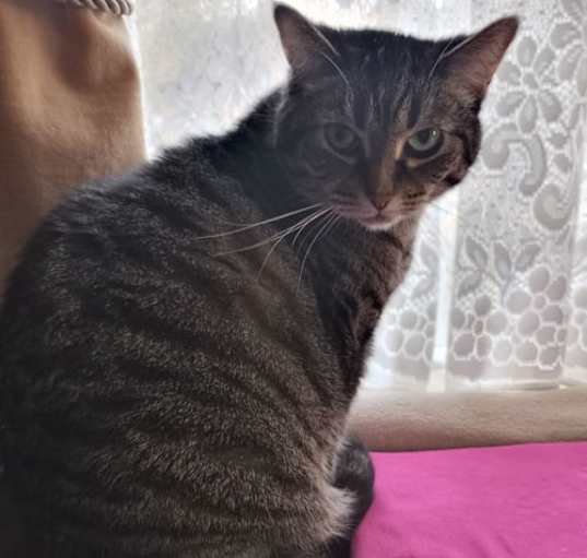 Photo of MeiMei