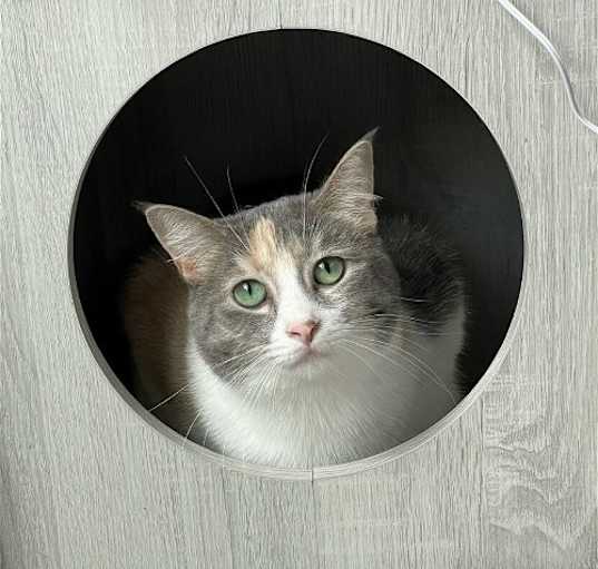 Photo of Lexi