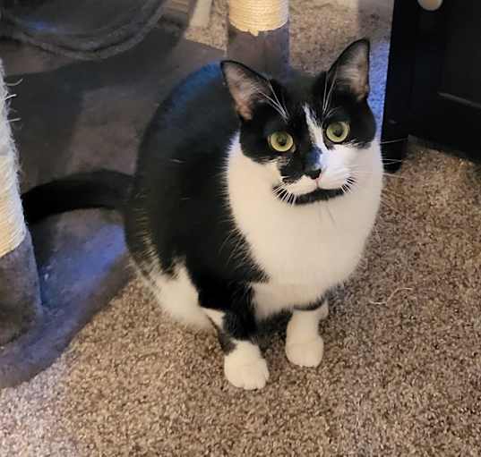 Photo of Candy Bean