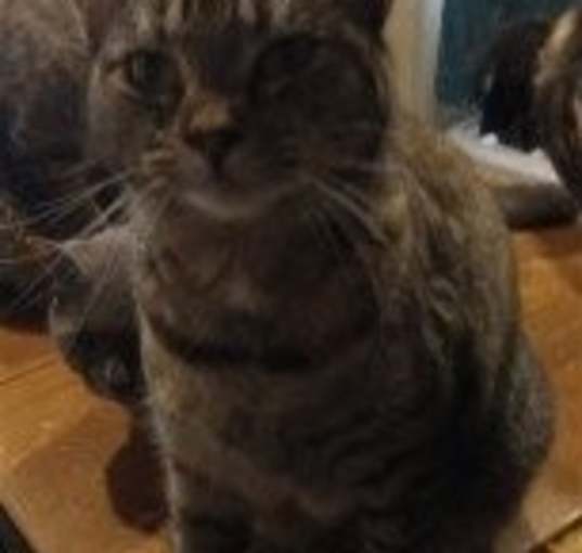 Photo of Tia