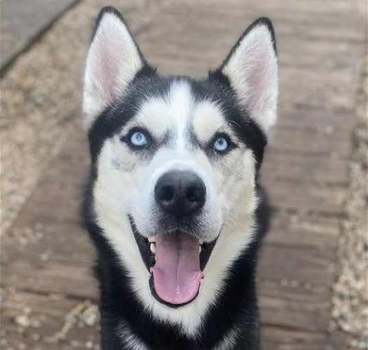 Photo of Eddie