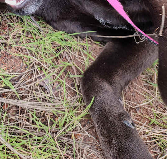 Photo of ARIA