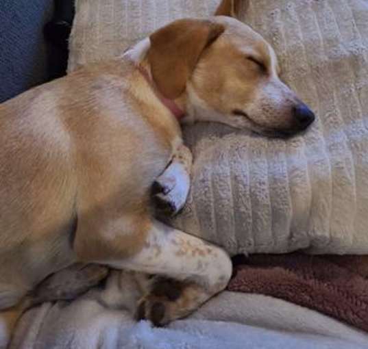 Photo of Gemma