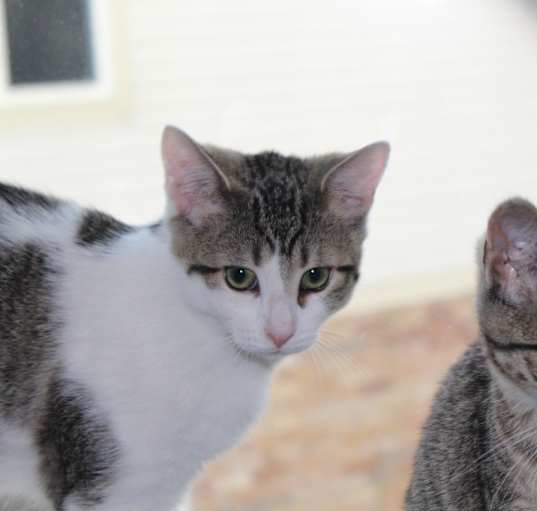 Photo of Cali & Joey