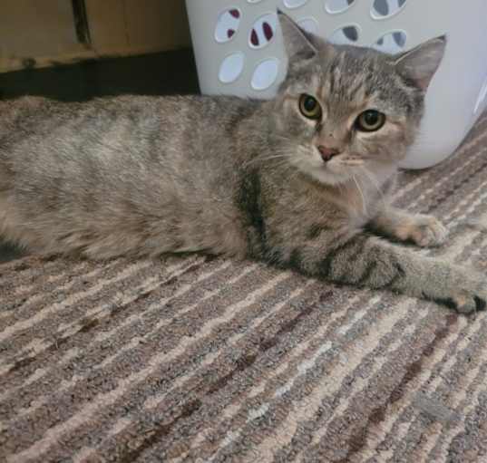 Photo of Hera