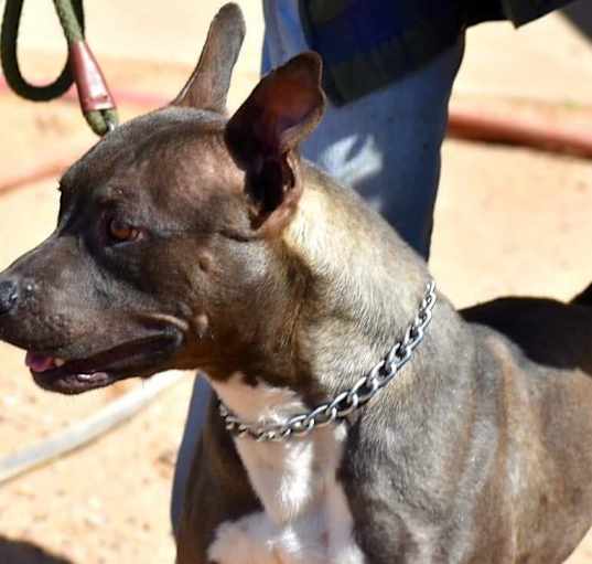 Photo of Tyche