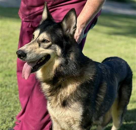 Photo of Storm