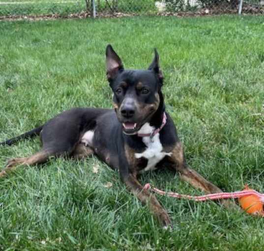 Photo of Freyja