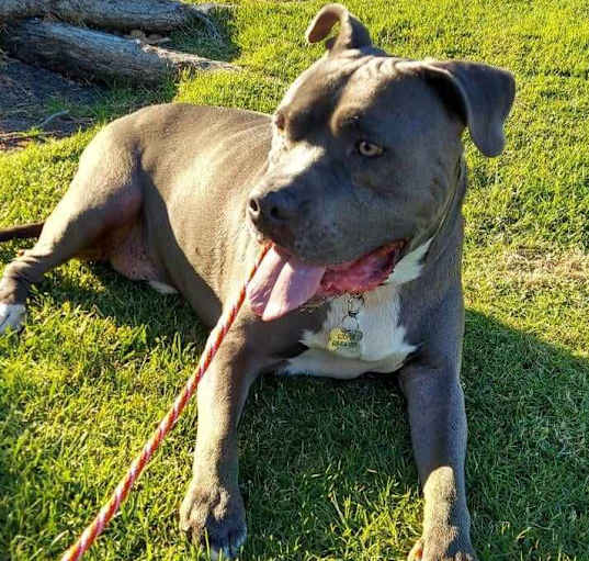 Photo of Thor