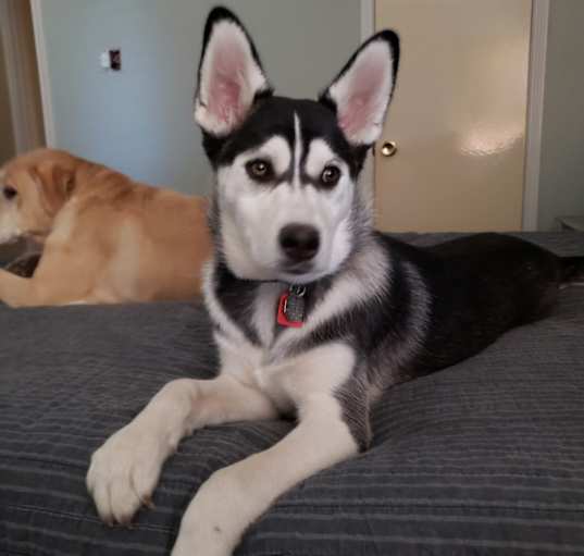 Photo of ADDY