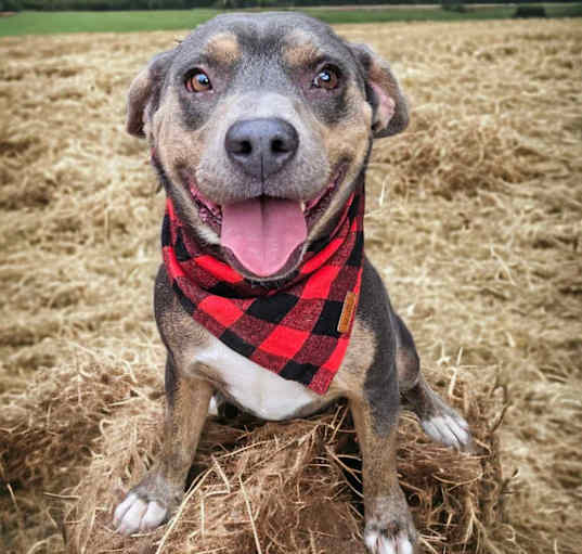 Photo of JESSIE