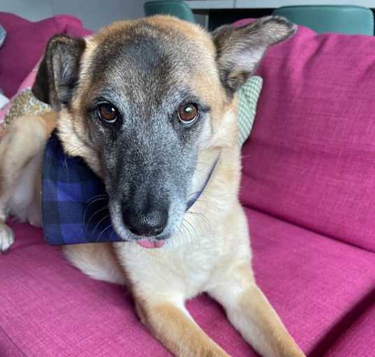 Photo of Lucyll