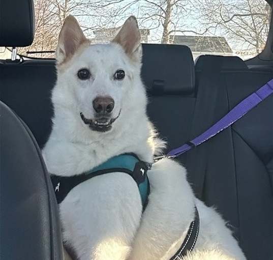 Photo of Casper of MD
