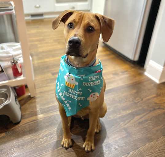Photo of Chance