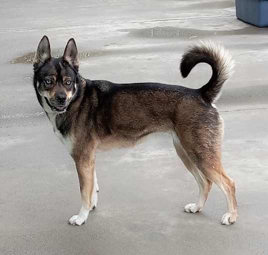 Photo of Frankie