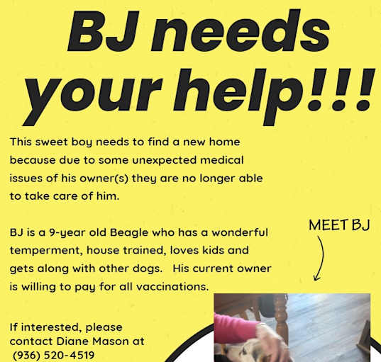 Photo of BJ