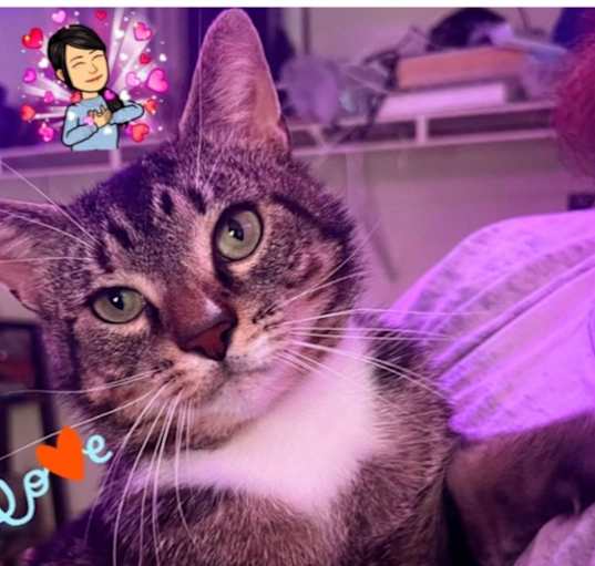 Photo of Tommy