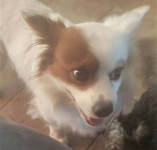 Photo of Isaac