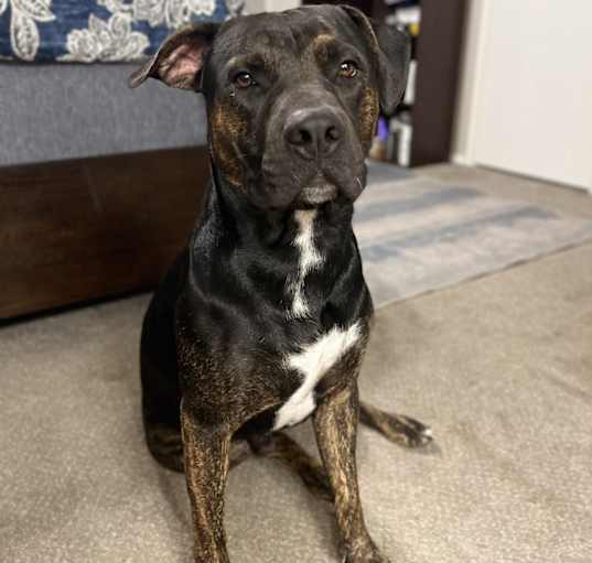 Photo of Zeus