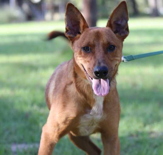 Photo of Tuck