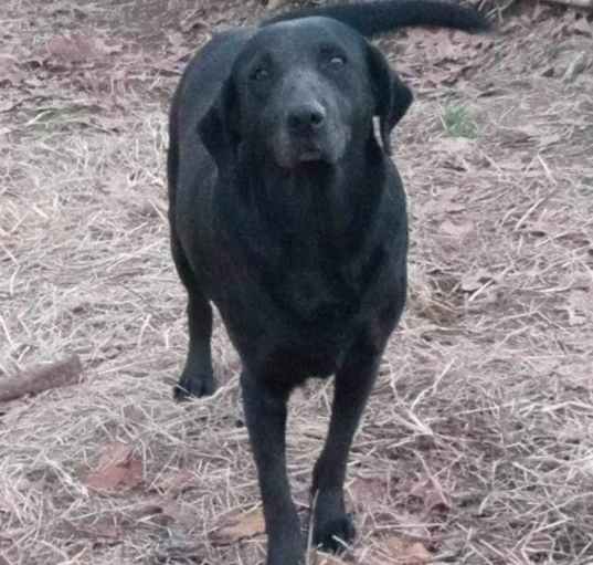 Photo of Ethel