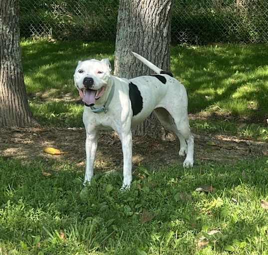 Photo of Maisy