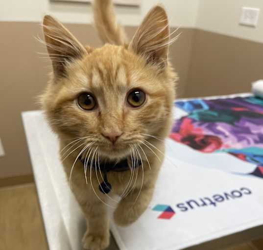 Photo of Percy