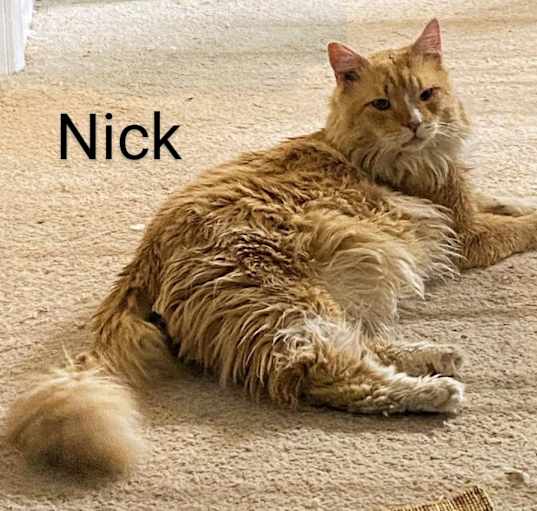 Photo of Nick