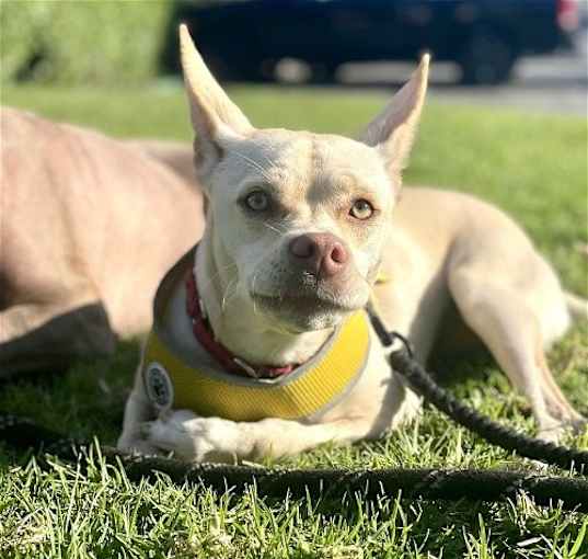 Photo of Nyla