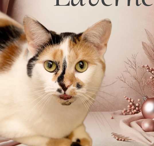 Photo of Laverne