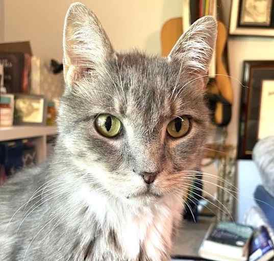 Photo of KITTY BIGSBY