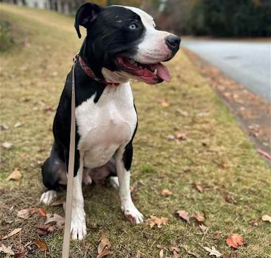 Photo of Tucker