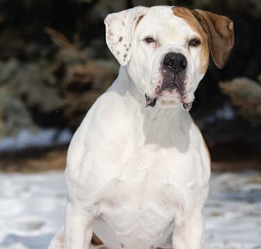 Photo of Moka