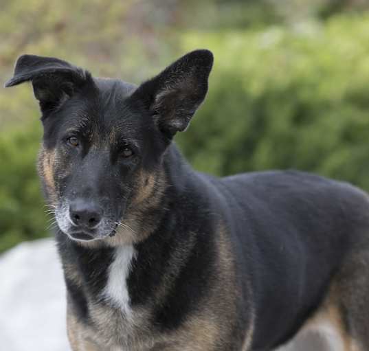 Photo of Samantha