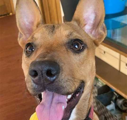 Photo of Lucky Penny
