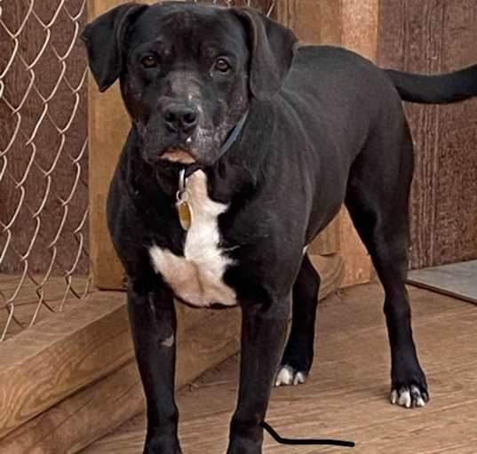 Photo of Emmitt