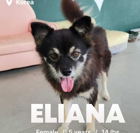 Photo of Eliana