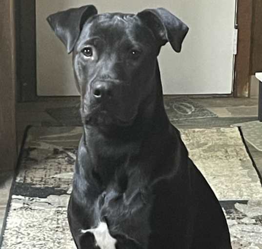 Photo of Sammy